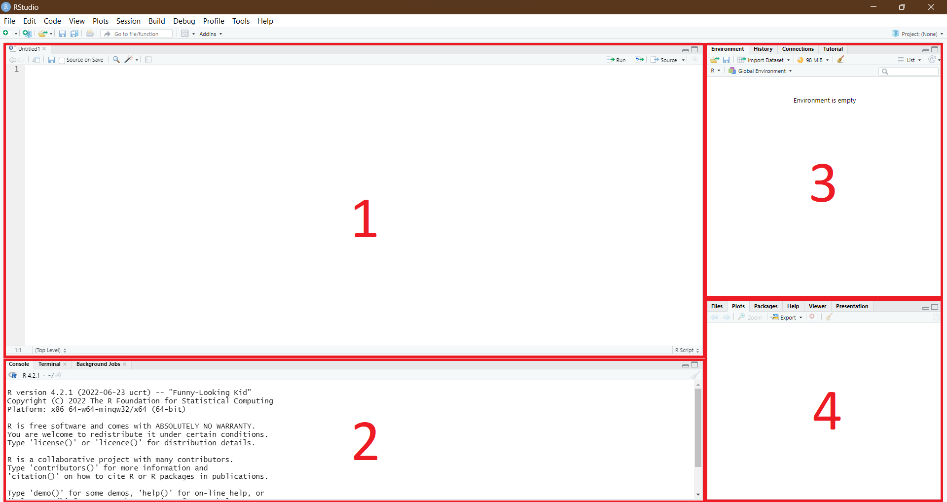 Labelled RStudio interface